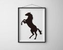 Stickers animal cheval